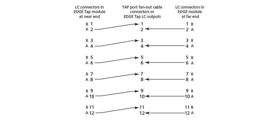 Near and Far End Modules to the TAP Port Cable