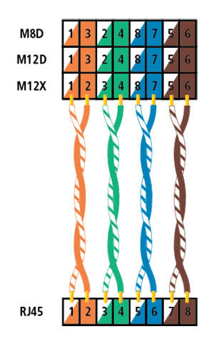 LinkIQ™ が M12X、M12D、M8D 終端付きケーブルのワイヤー・マップを識別する方法。