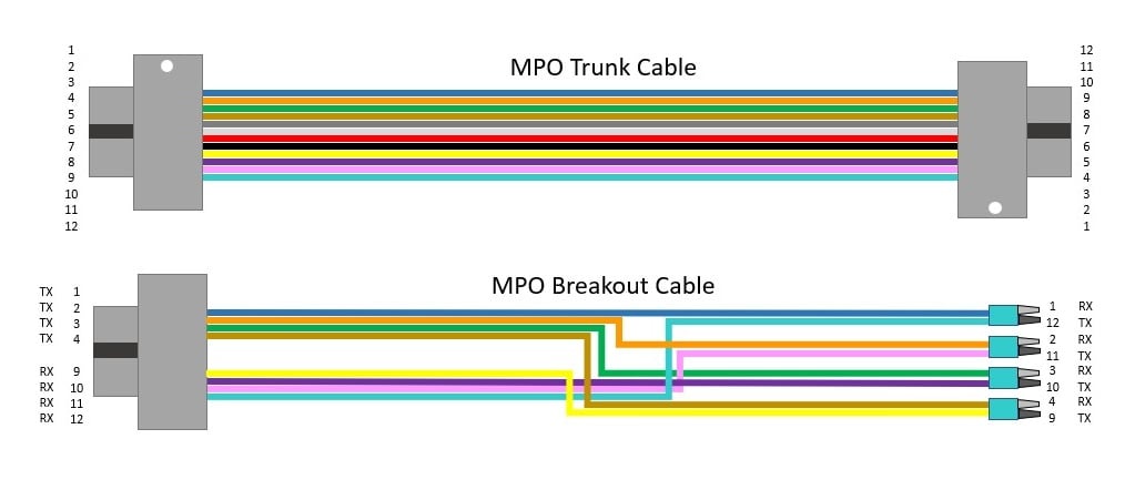 Diagram depicting an MPO trunk cable and an MPO breakout cable.